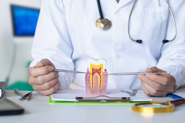 Best Emergency TMJ Treatment in South Lockport, NY